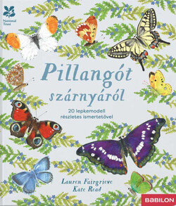 Pillangót szárnyáról